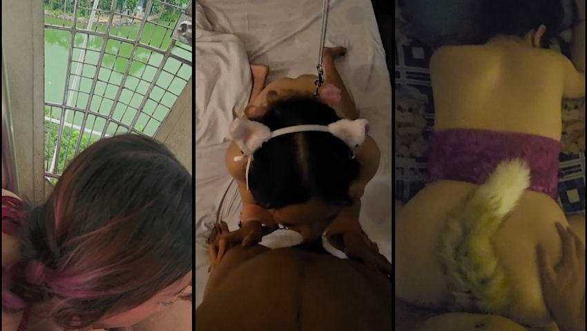 Huấn luyện bé mèo bú cu ở độ cao 500m cảm giác sẽ như thế nào